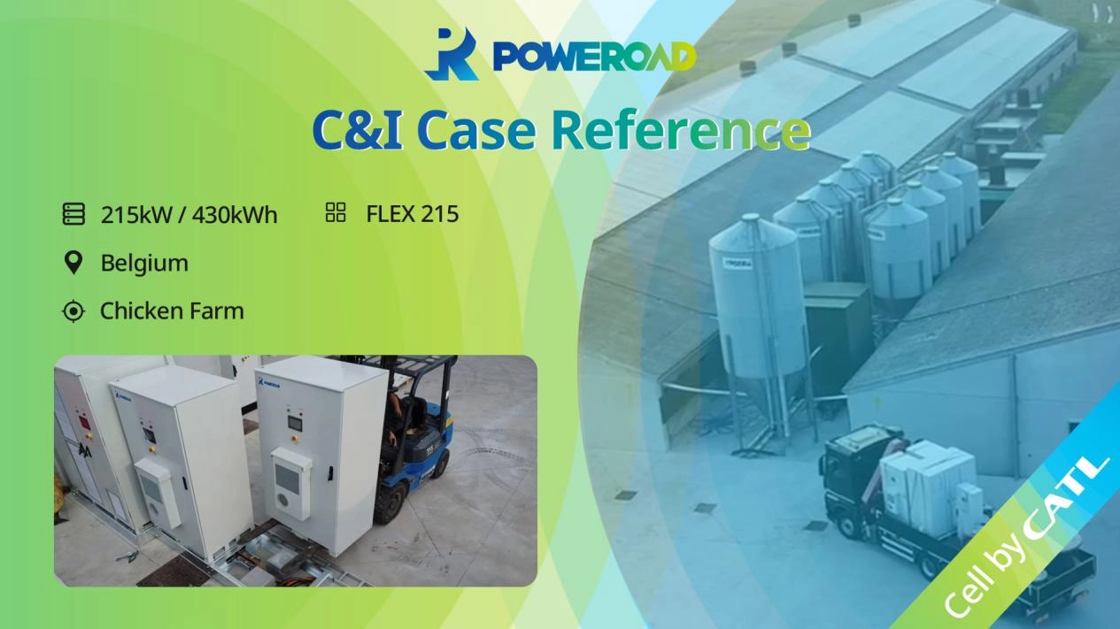 Empowering a Sustainable Future at a Belgian Chicken Farm